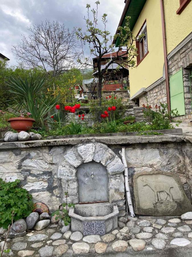 Vila Venera Welingrad Zewnętrze zdjęcie